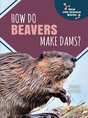 cover image of How Do Beavers Make Dams?